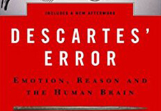 Descartes’ Error: Emotion, Reason, and the Human Brain